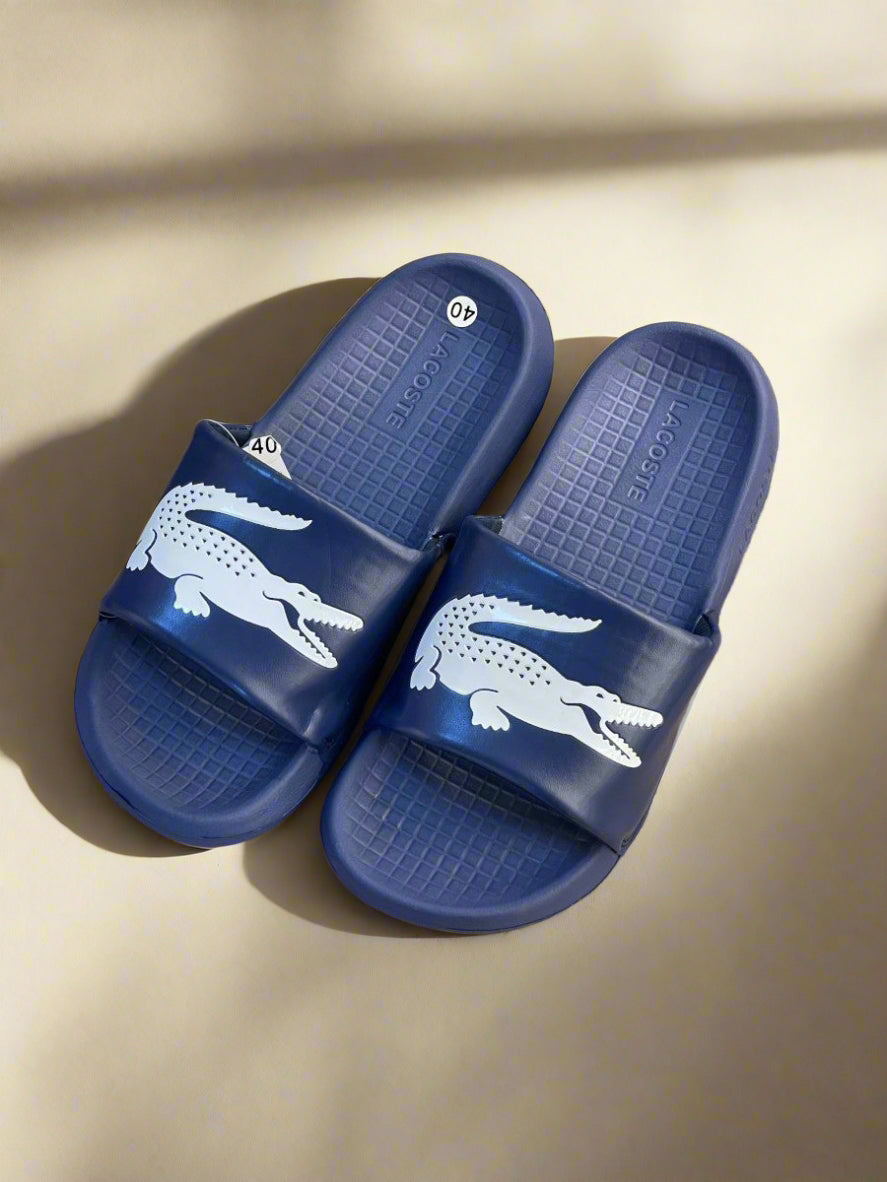 LCST DESIGNER SLIDES