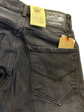 USPA CARBON SHEDA JEANS
