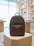L-V BACKPACK BAG