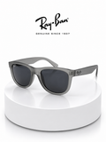 Ray-Ban Frost Grey Icon SHADES