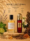 No.31 – Inspired by mexican tobacco(Scent-Sational)