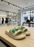 LCST DESIGNER SLIDES