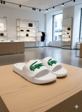 LCST DESIGNER SLIDES