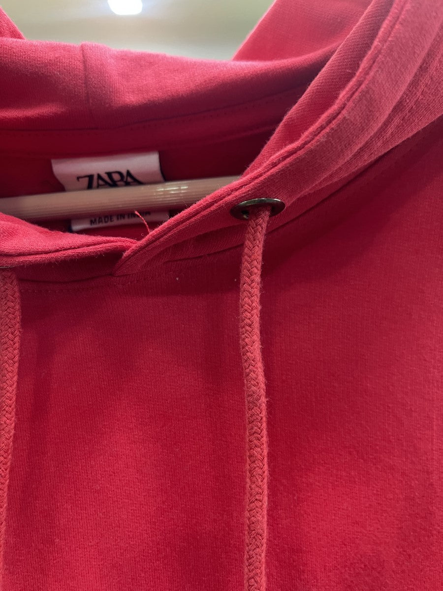 ZRA  BASIC HOODIES
