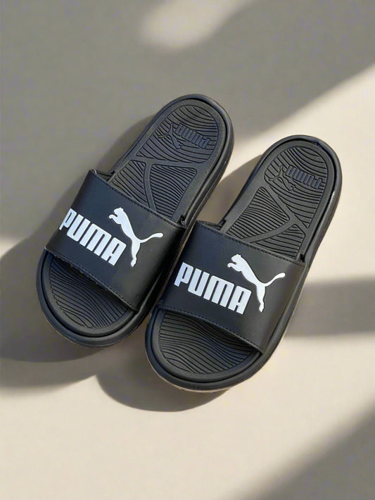 PMA SLIDES