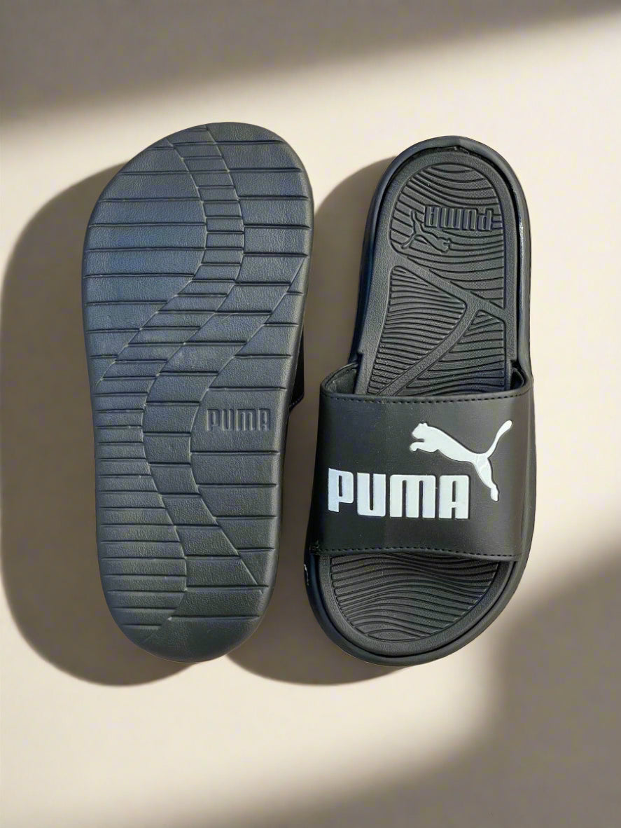 PMA SLIDES