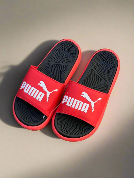 PMA SLIDES