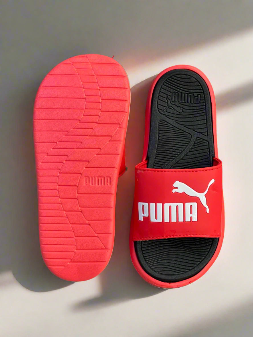 PMA SLIDES
