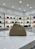 TAN FRAMED CLUTCH BAG WITH QUILTED DIAMOND TEXTURE AND GOLD HARDWARE LADIES SLING BAG