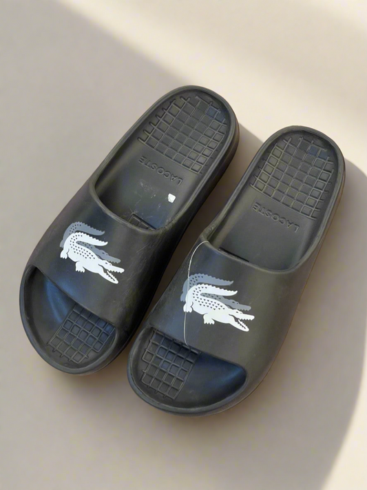 LCST SLIDES