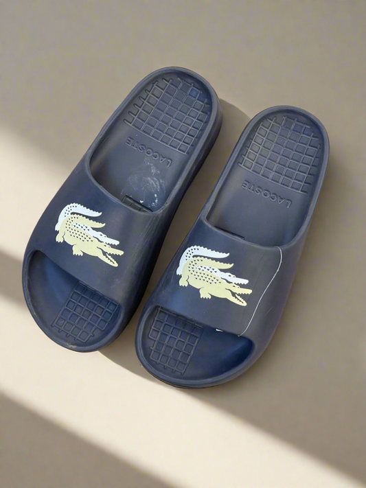 LCST SLIDES