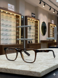 Emporio Armani Polished Havana SHADES
