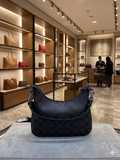 COACH Signature Canvas Cary Crossbody BAG