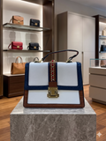ALDO Glendaa Medium Top Handle BAG